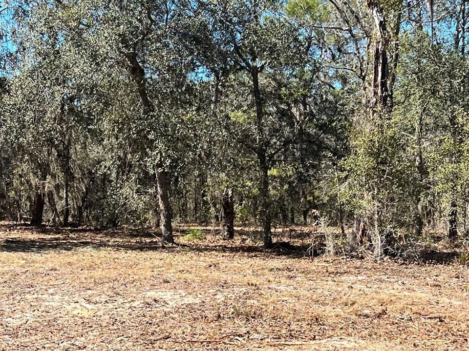 На продажу: $179,900 (9.95 acres)