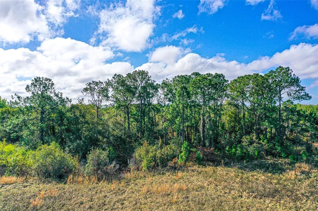 На продажу: $14,999 (1.01 acres)