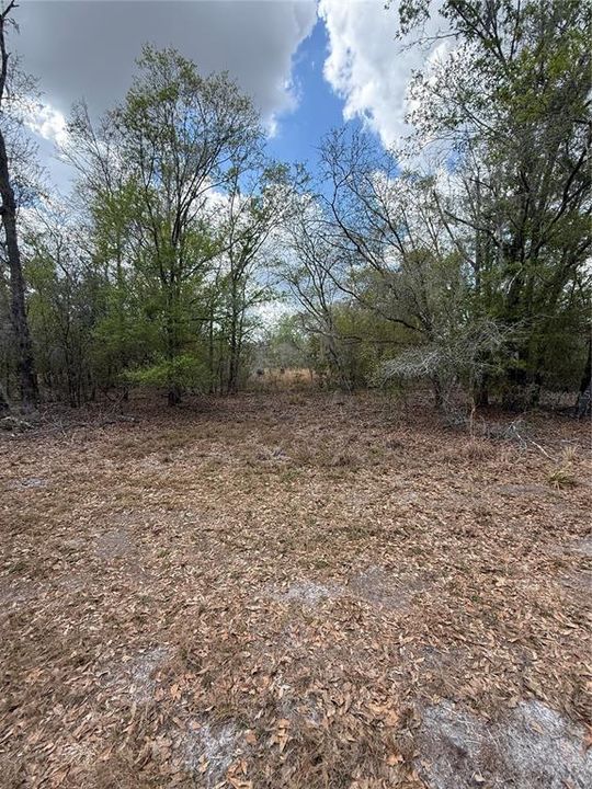 На продажу: $425,000 (9.50 acres)