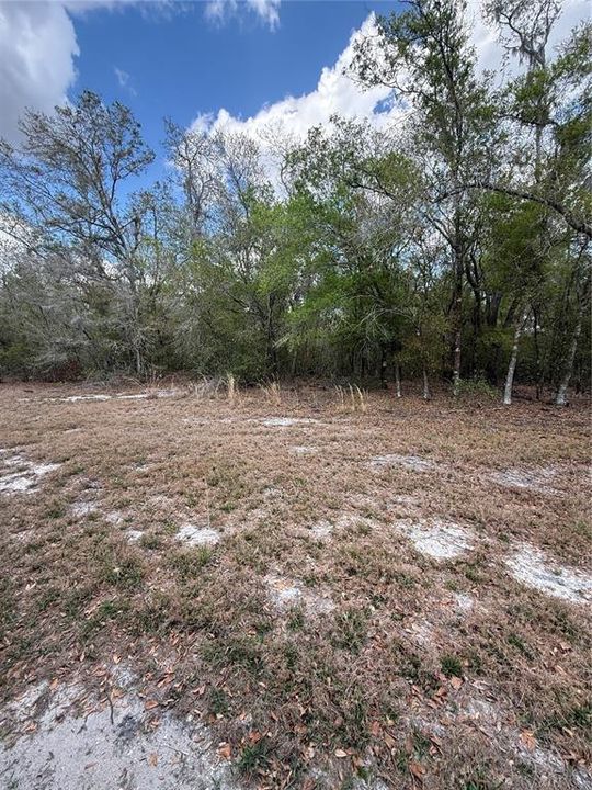 На продажу: $425,000 (9.50 acres)