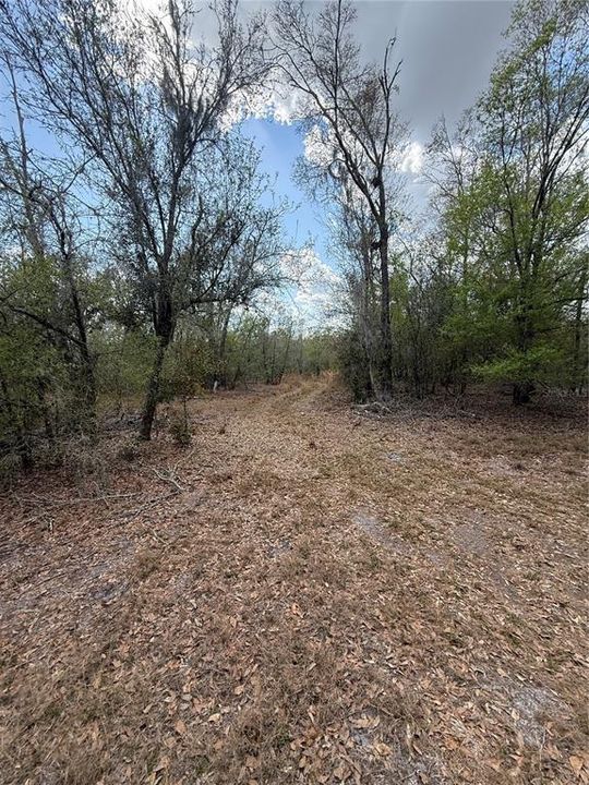 На продажу: $425,000 (9.50 acres)