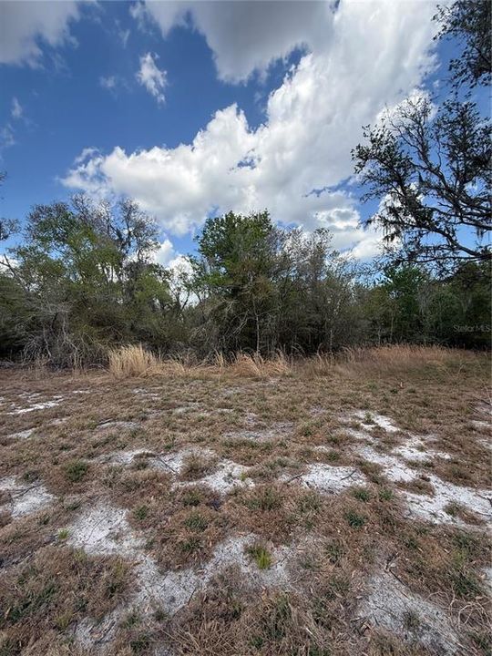 На продажу: $425,000 (9.50 acres)