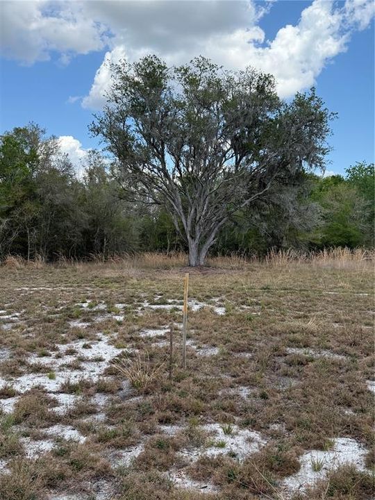На продажу: $425,000 (9.50 acres)