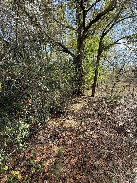 На продажу: $425,000 (9.50 acres)