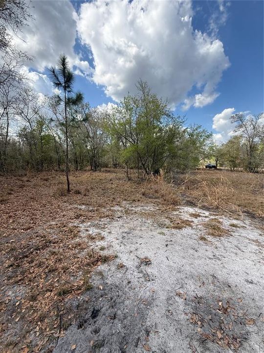 На продажу: $425,000 (9.50 acres)