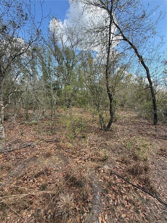 На продажу: $425,000 (9.50 acres)
