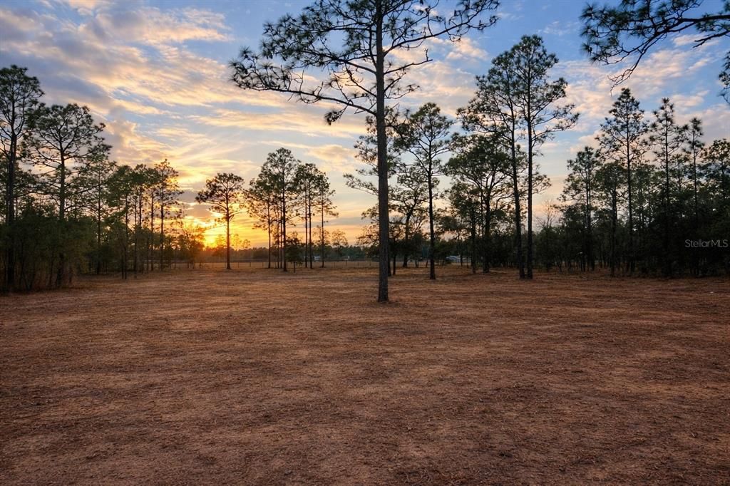 待售: $39,500 (0.99 acres)