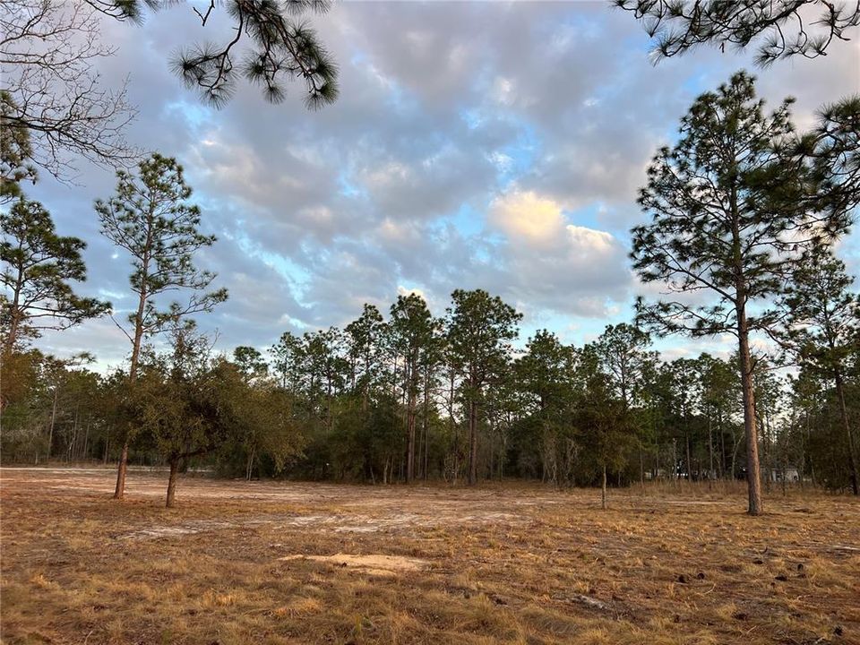 待售: $39,500 (0.99 acres)