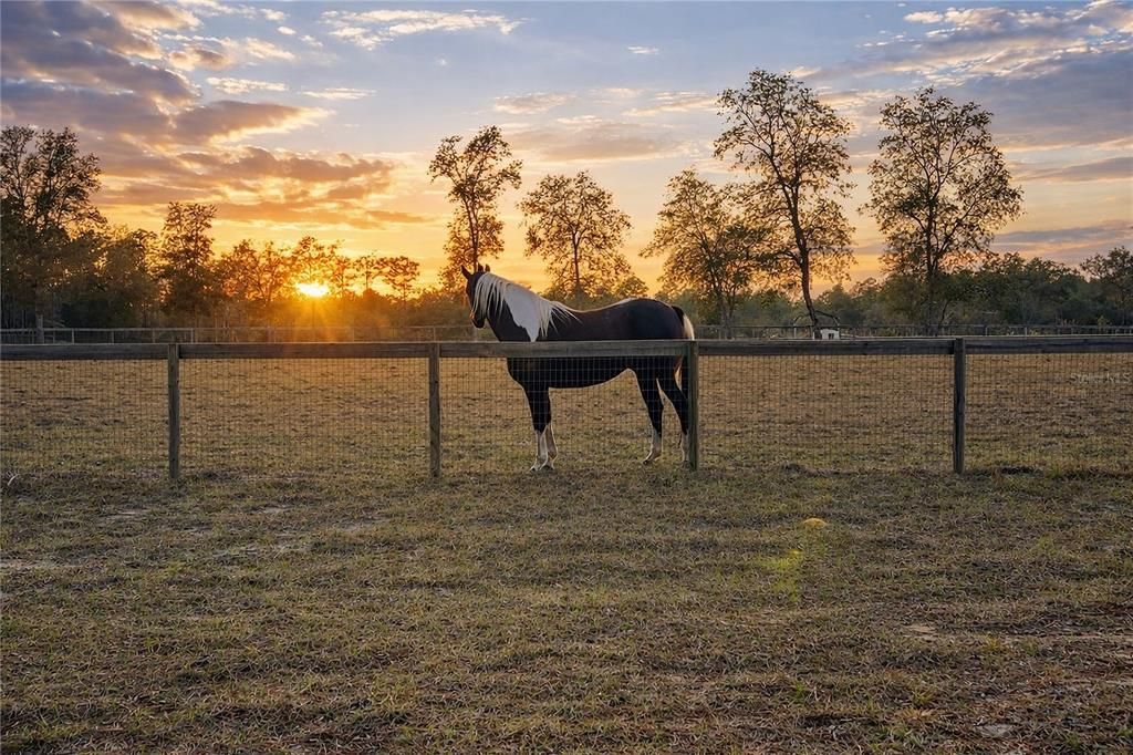 待售: $39,500 (0.99 acres)