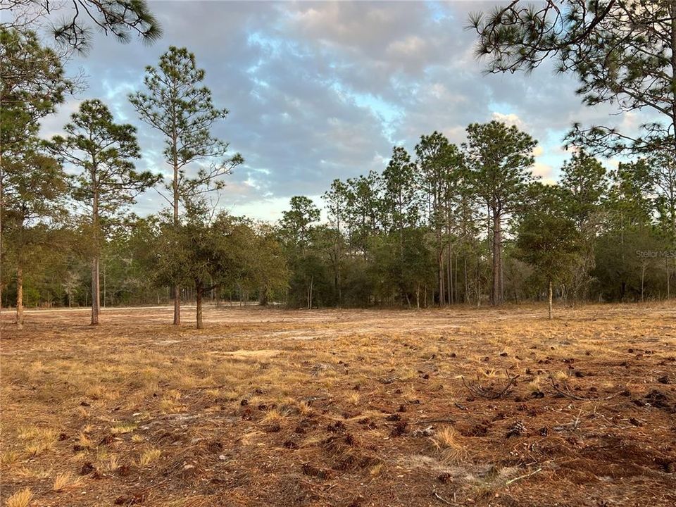 待售: $39,500 (0.99 acres)