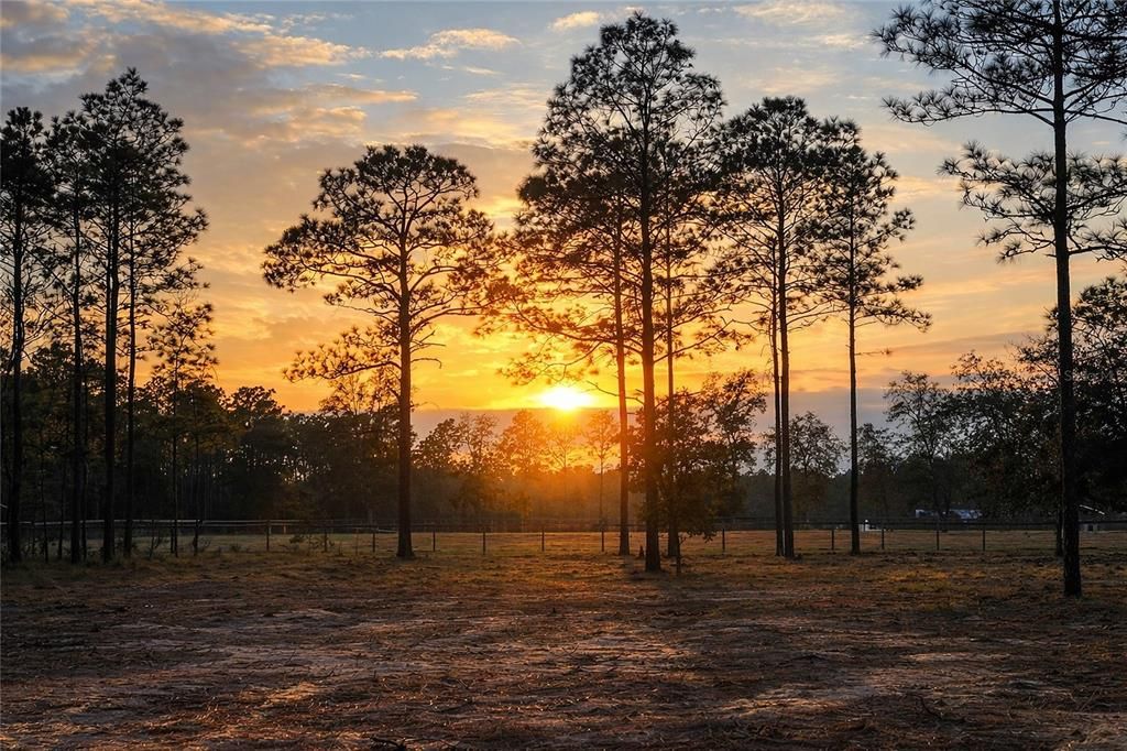 待售: $39,500 (0.99 acres)