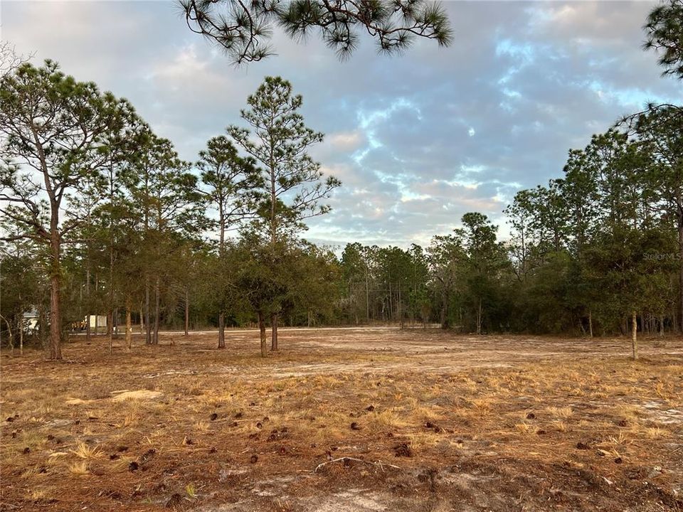 待售: $39,500 (0.99 acres)