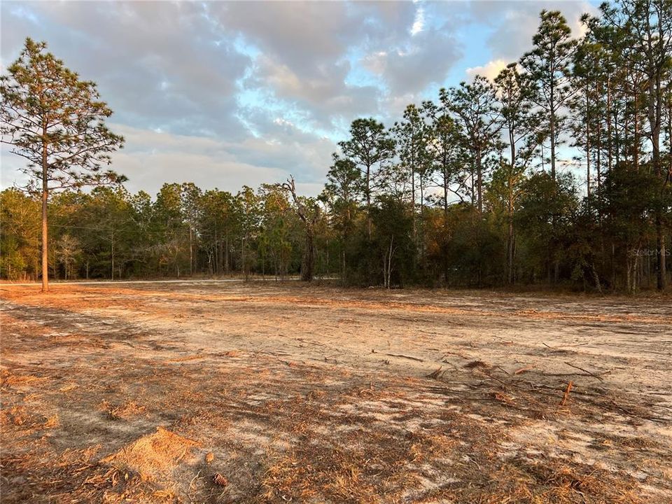 待售: $39,500 (0.99 acres)