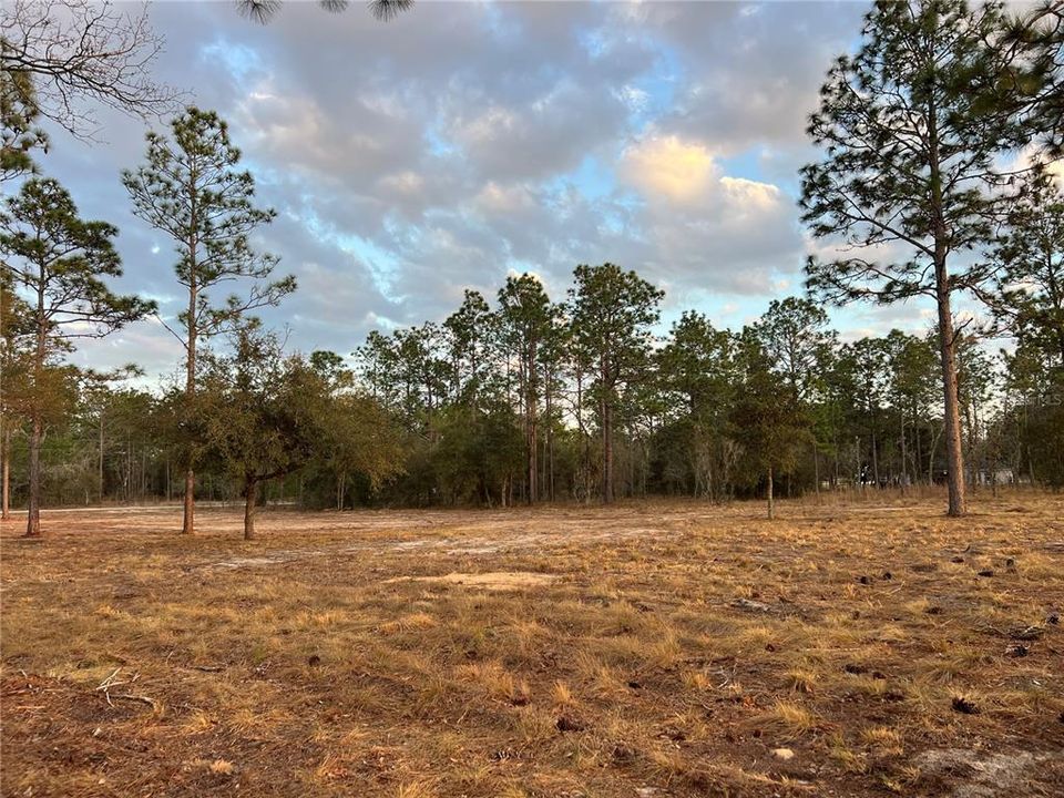 待售: $39,500 (0.99 acres)