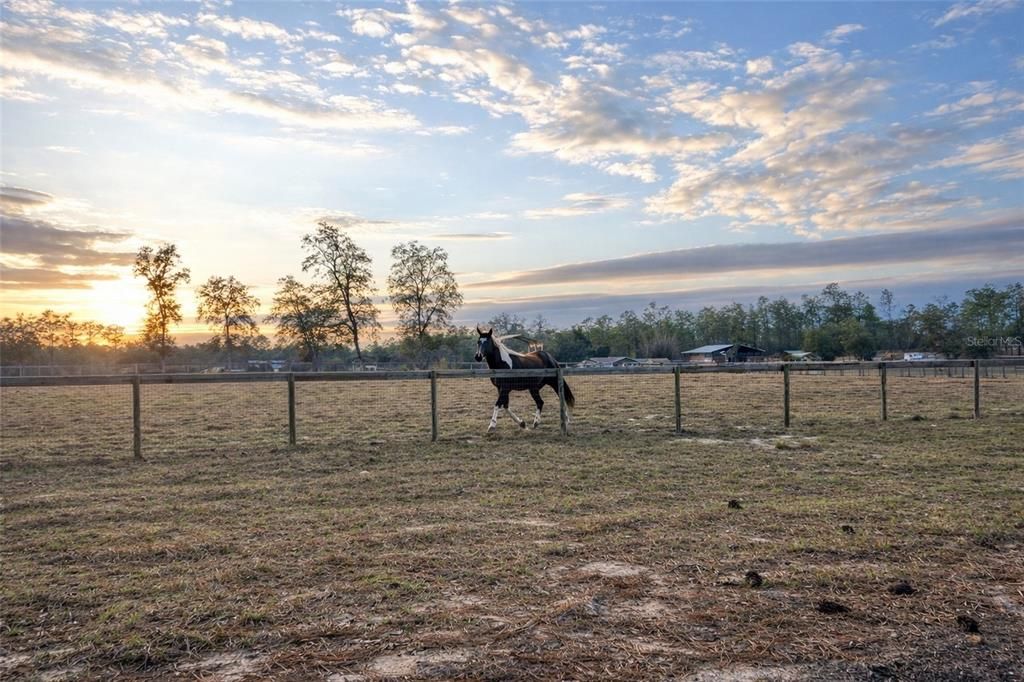 待售: $39,500 (0.99 acres)