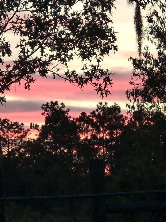 На продажу: $294,900 (3 спален, 2 ванн, 1576 Квадратных фут)