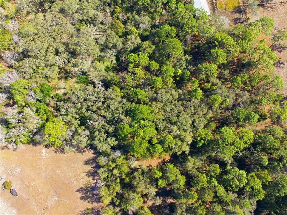 待售: $195,000 (2.40 acres)