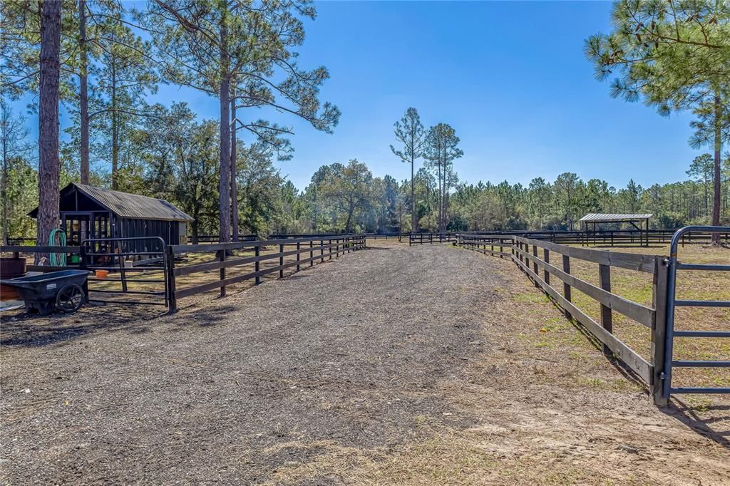 For Sale: $1,399,000 (6 beds, 4 baths, 4331 Square Feet)