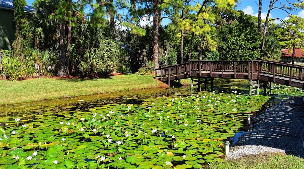 Activo con contrato: $315,000 (2 camas, 2 baños, 1353 Pies cuadrados)