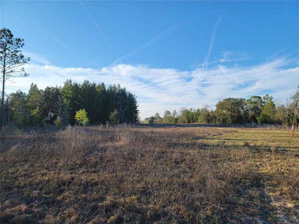 For Sale: $325,000 (10.00 acres)