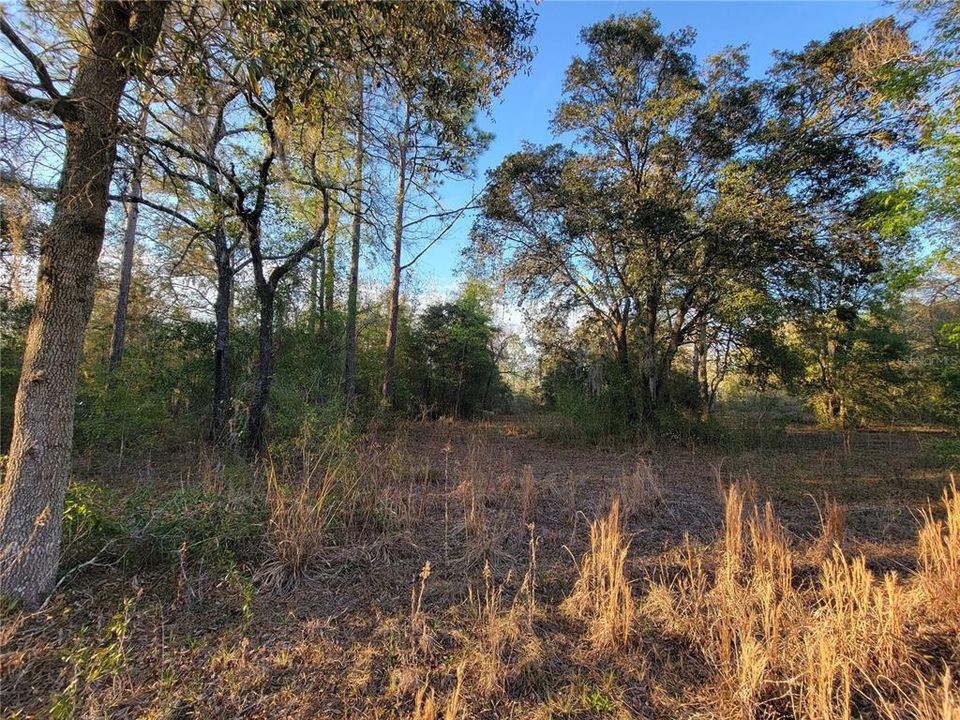 For Sale: $325,000 (10.00 acres)