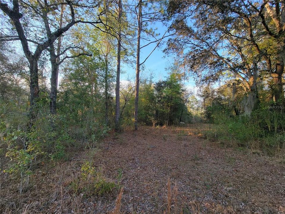 For Sale: $325,000 (10.00 acres)