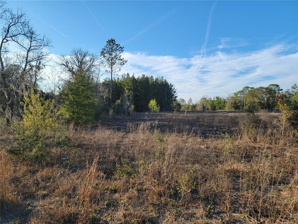 For Sale: $325,000 (10.00 acres)