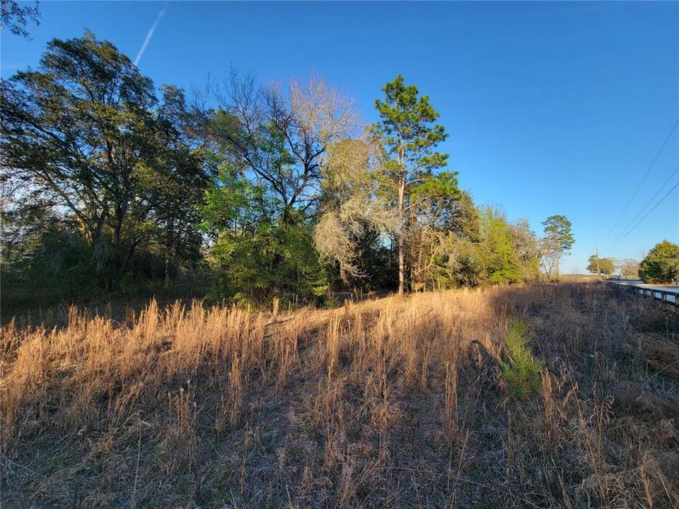 For Sale: $325,000 (10.00 acres)