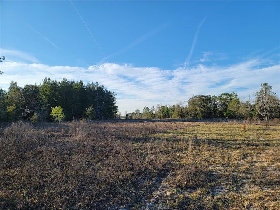 For Sale: $325,000 (10.00 acres)