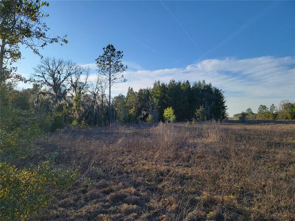 For Sale: $325,000 (10.00 acres)