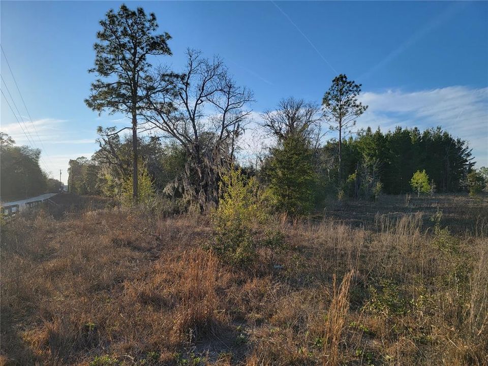 For Sale: $325,000 (10.00 acres)