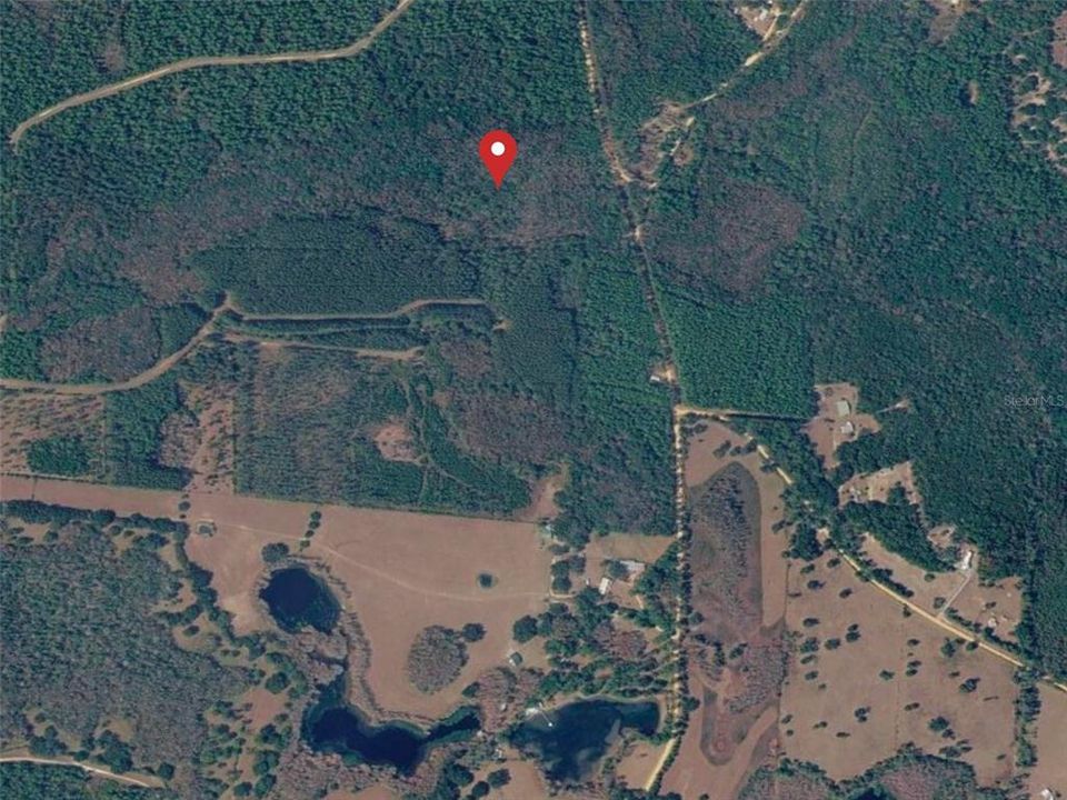 For Sale: $39,900 (10.77 acres)