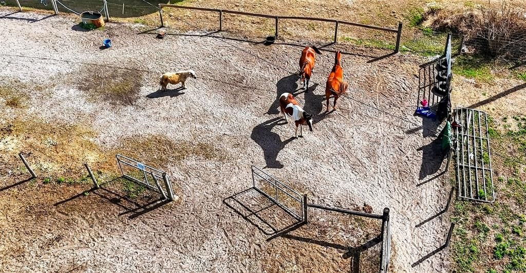 На продажу: $649,000 (10.05 acres)