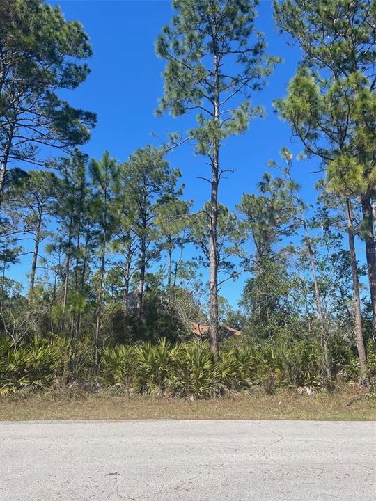 На продажу: $85,000 (0.23 acres)