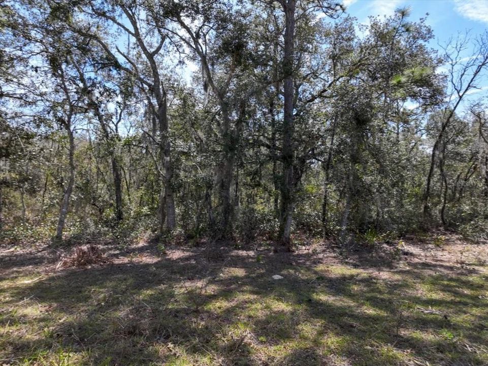 На продажу: $9,900 (0.24 acres)