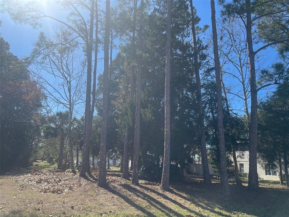 待售: $80,000 (0.23 acres)