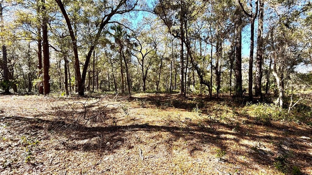 待售: $300,000 (2.50 acres)