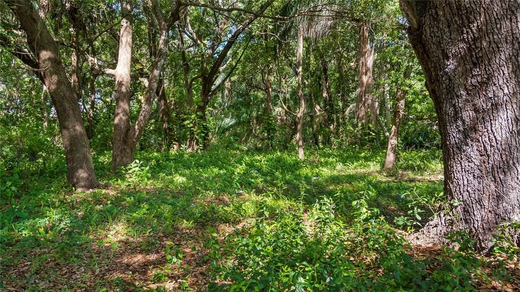 待售: $2,500,000 (4.40 acres)
