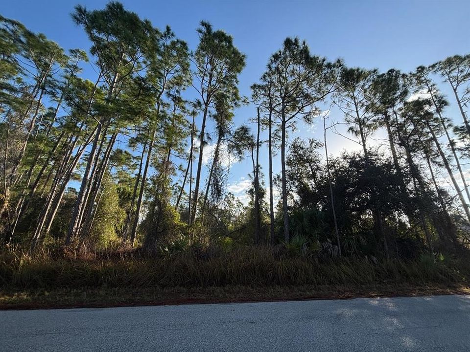 На продажу: $55,000 (0.56 acres)