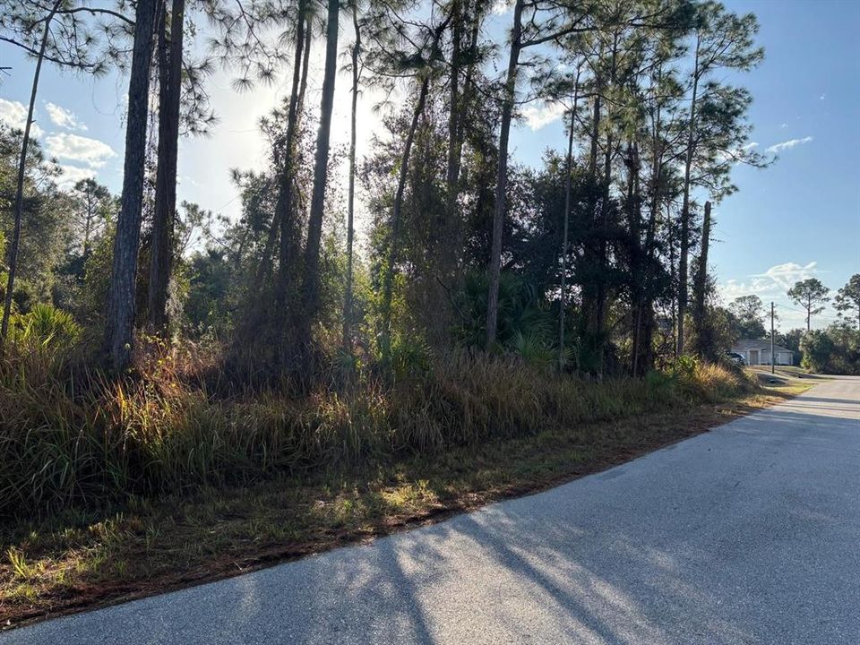 На продажу: $55,000 (0.56 acres)