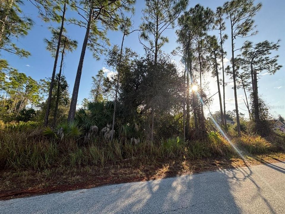 На продажу: $55,000 (0.56 acres)