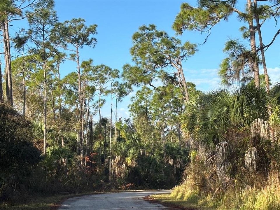 На продажу: $55,000 (0.56 acres)