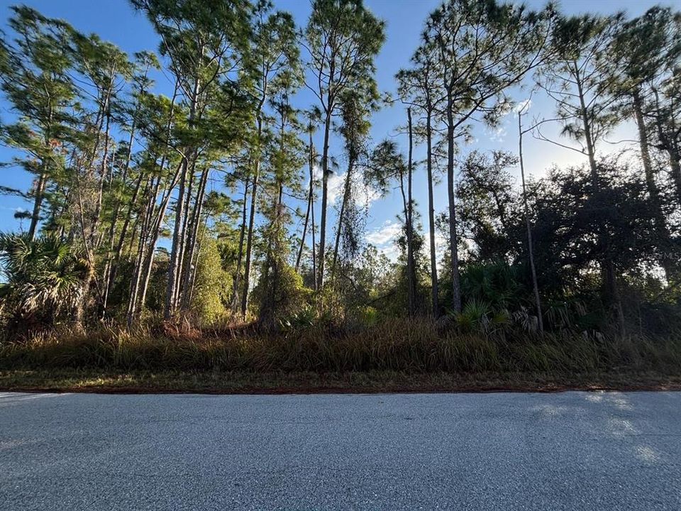 На продажу: $55,000 (0.56 acres)