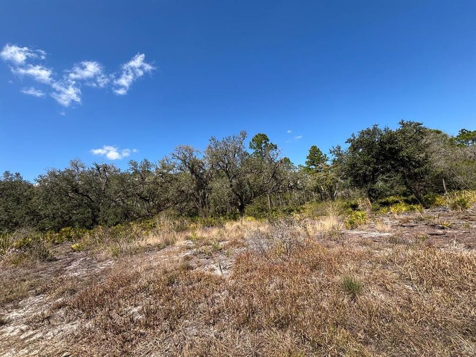 На продажу: $30,000 (0.50 acres)