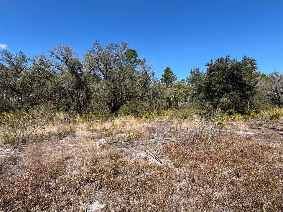 На продажу: $30,000 (0.50 acres)