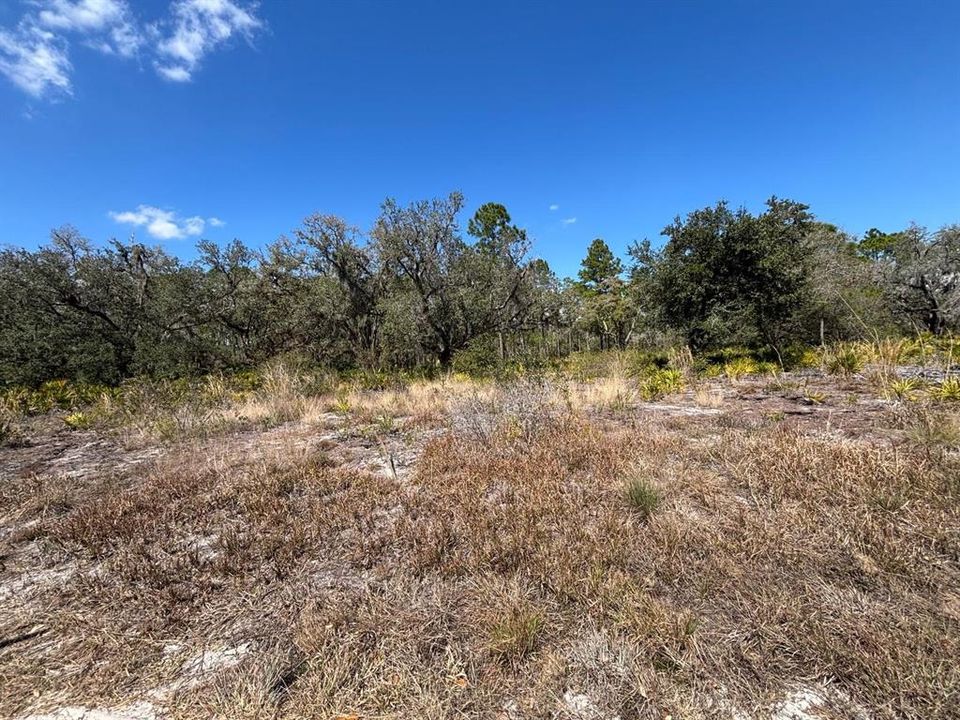 На продажу: $30,000 (0.50 acres)