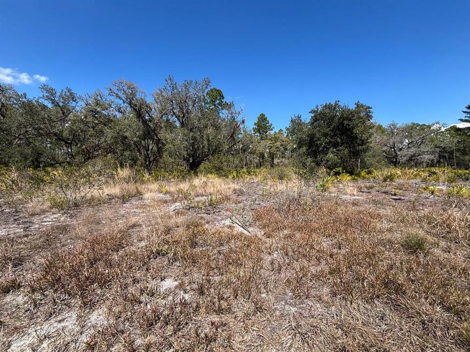 На продажу: $30,000 (0.50 acres)