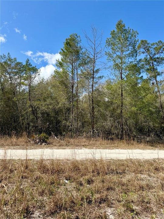 На продажу: $6,500 (0.22 acres)