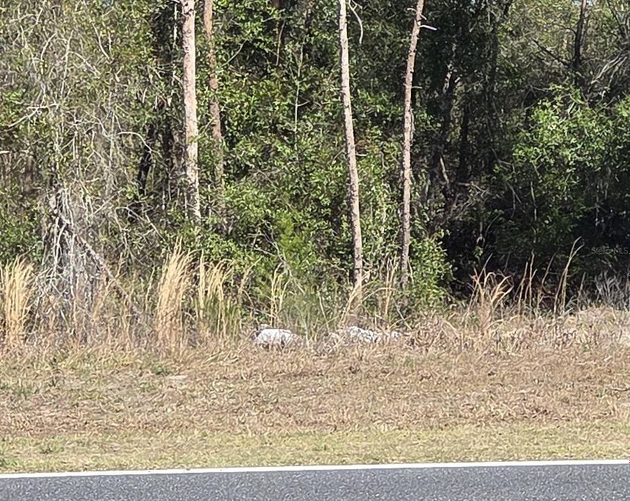 Vendido Recientemente: $19,900 (0.25 acres)