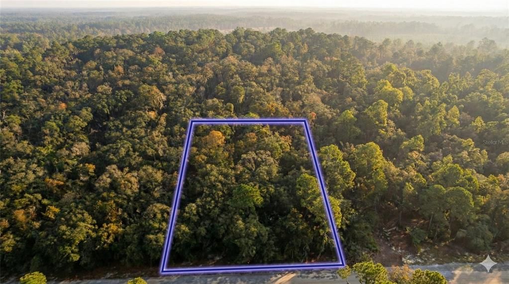 合同活跃: $24,500 (1.13 acres)